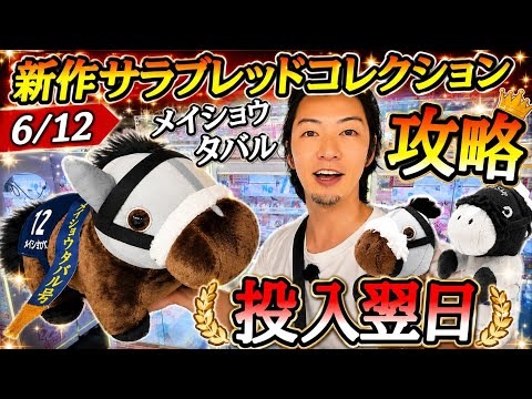 メイショウタバル攻略のサムネイル